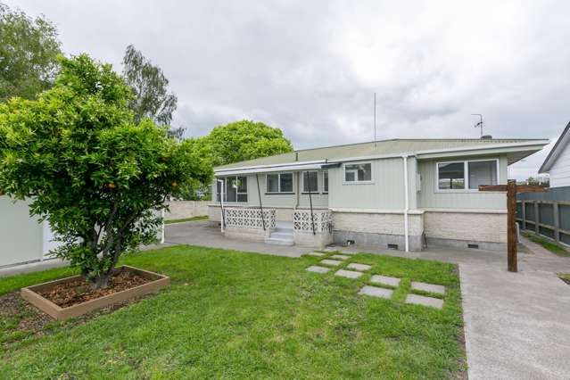 59 Freyberg Avenue Tamatea_4