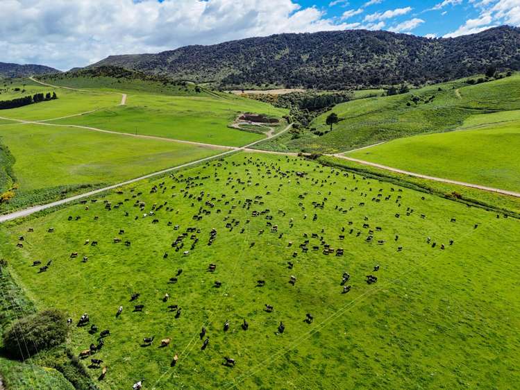 1024 Owaka Valley Road Owaka_20