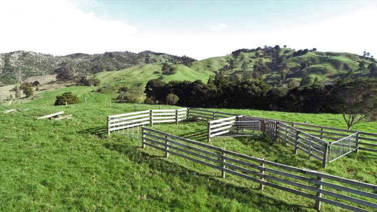 386 Pawarenga Road Broadwood_4