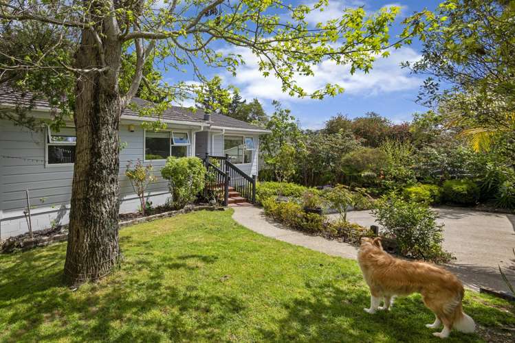 12 Cheriton Road Mellons Bay_30