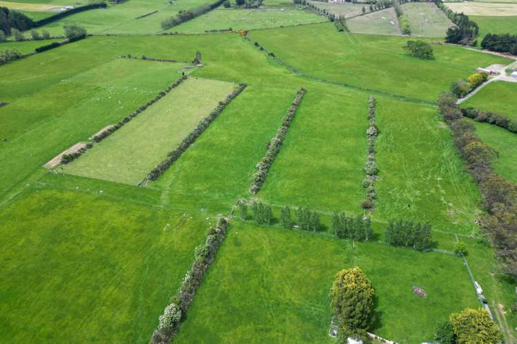 Lt 3&4 504 Flora Road East Makarewa_15