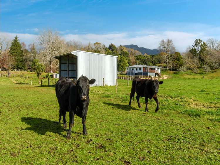 80 Upland Road Aongatete_23