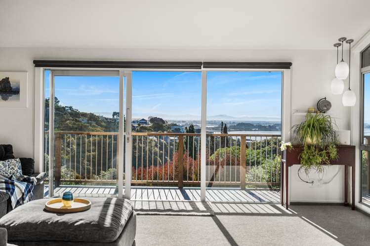 53 Soleares Avenue Mount Pleasant_14