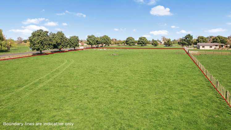 11a Lewis Street Waihou_6