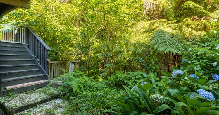 786 Queen Charlotte Drive Havelock_19