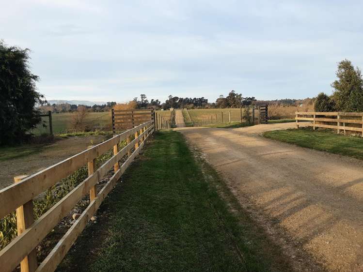 229 Balcairn Amberley Road Amberley_19