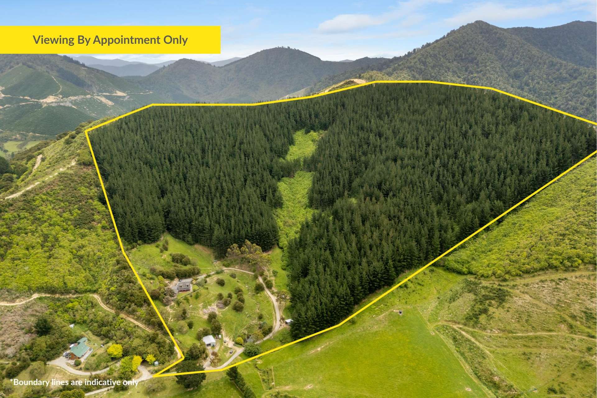 125 Kaiuma Bay Road Canvastown_0