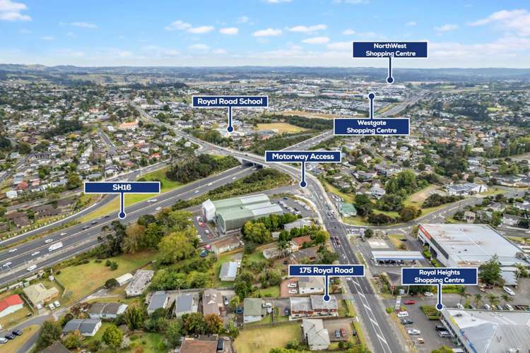 175 Royal Road Massey_12