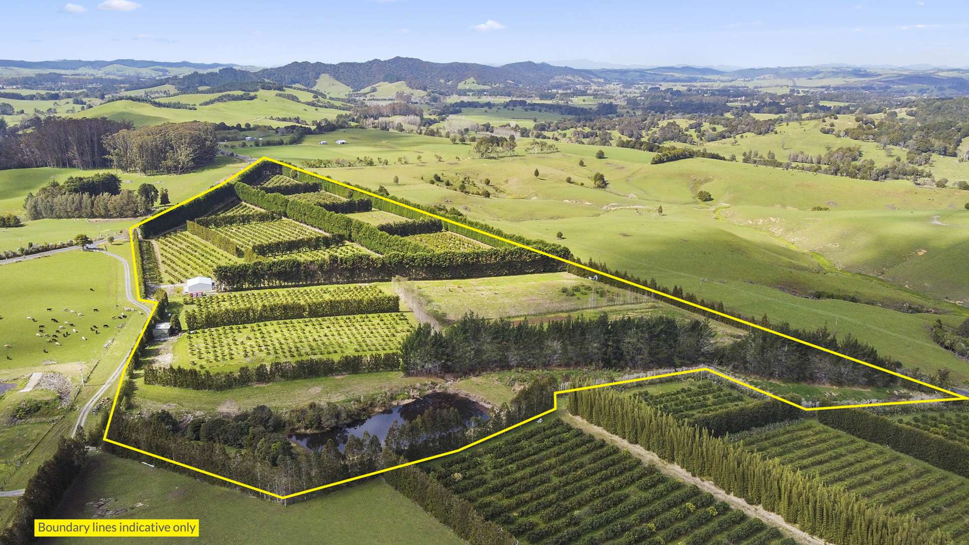 908 Te Ahu Ahu Road Waimate North Far North Houses for Sale One