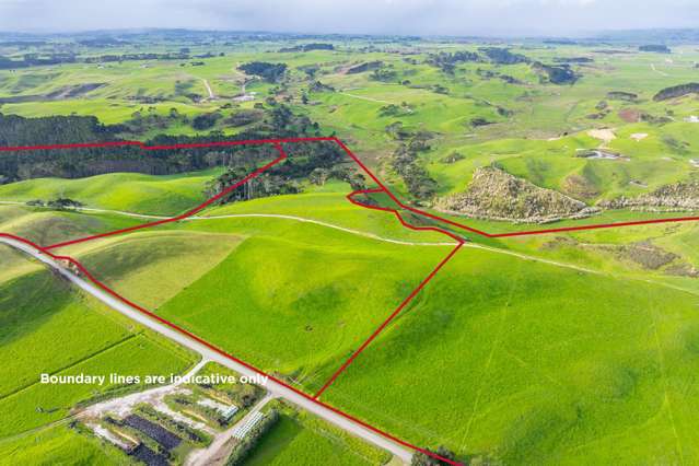 Graze, build or landbank on Mahuta Road