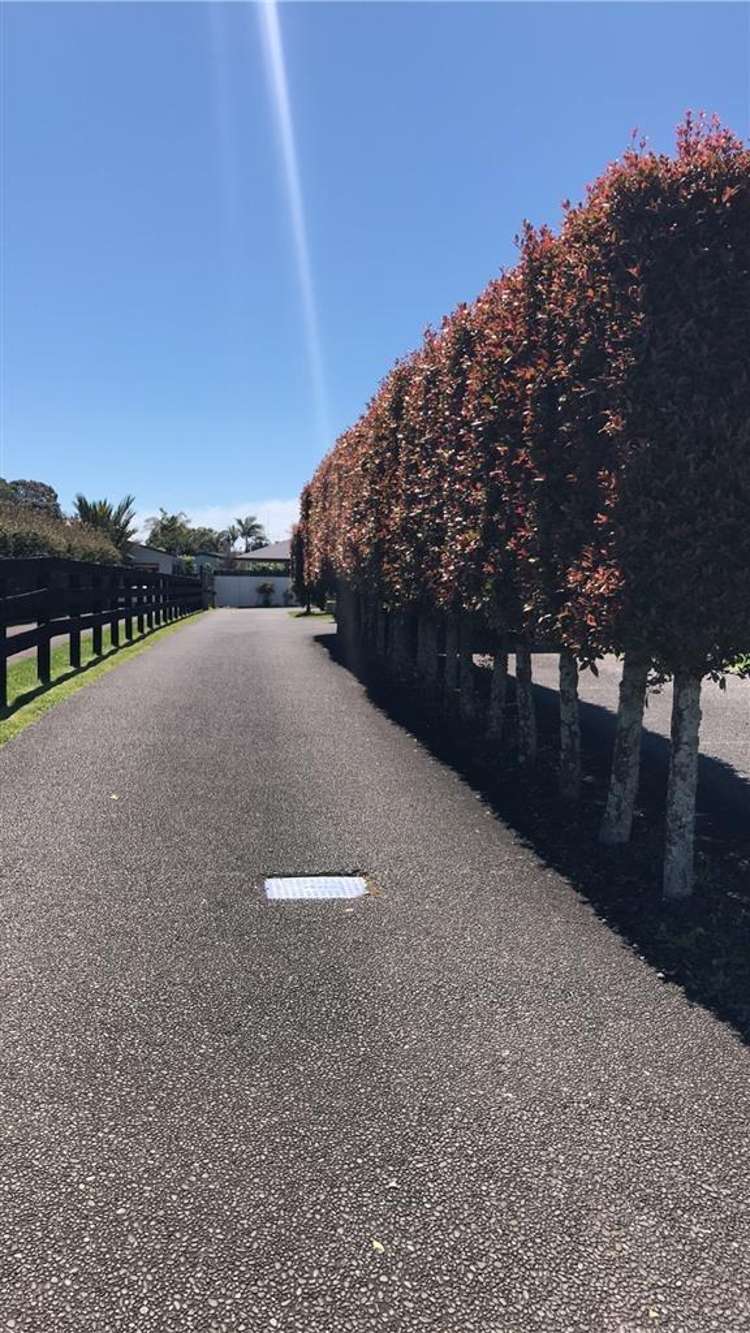 293C LEVERS ROAD Matua_14