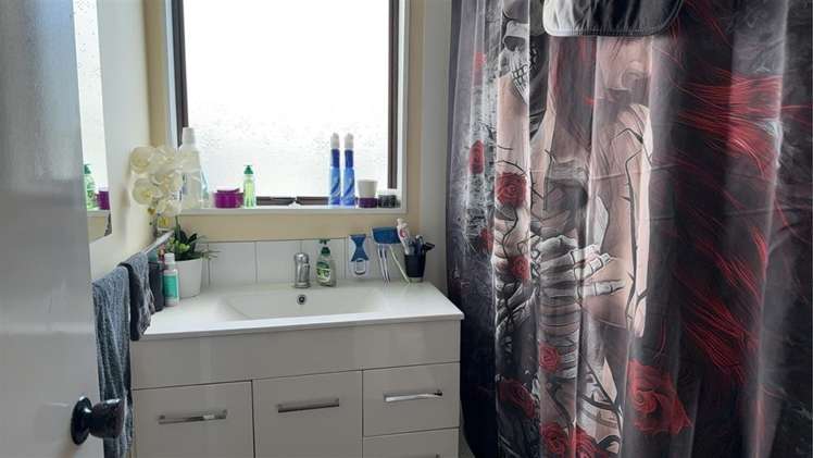 154 Windermere Drive 11233_2