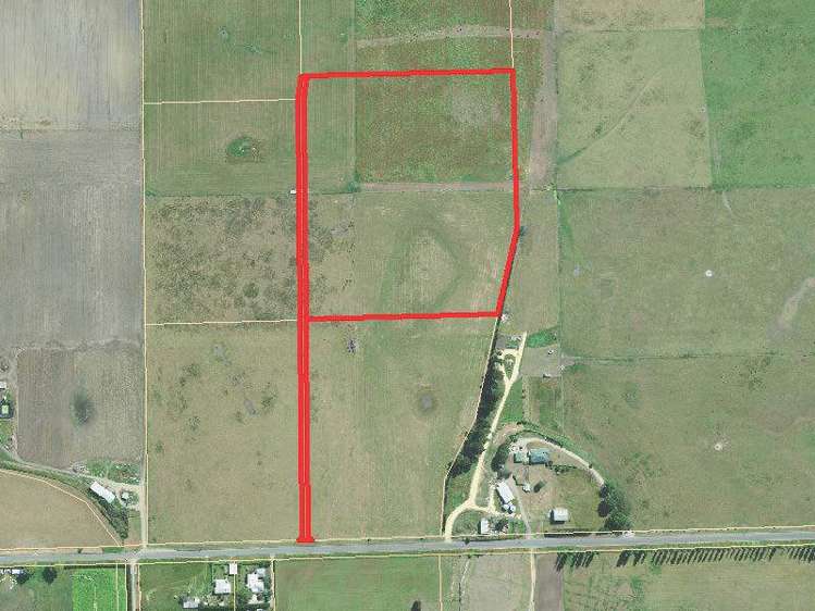 62D Springfield Road Totara_9