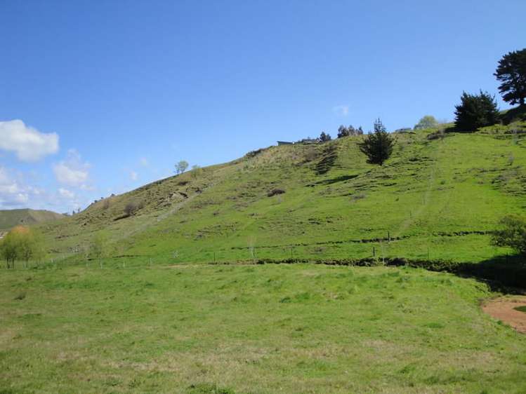 81 Wheatstone Road Wainui_6