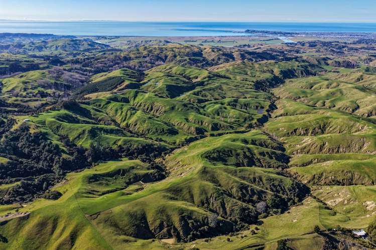 717k Puketitiri Road Puketapu_33