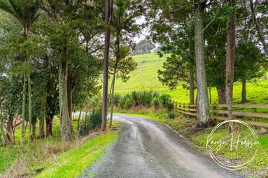 55 Puriri Glade_1