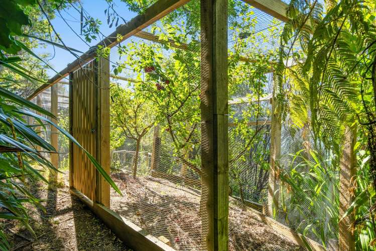 542 Moetapu Bay Road Marlborough Sounds_42