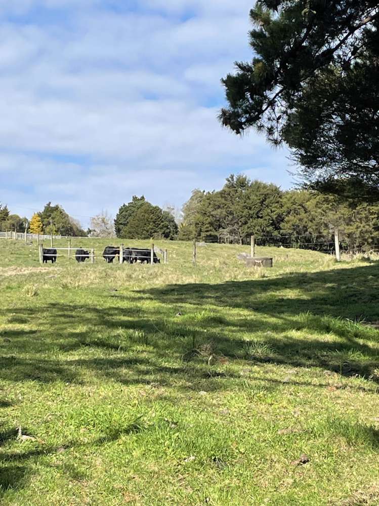 385 Drury Hills Road Drury_6