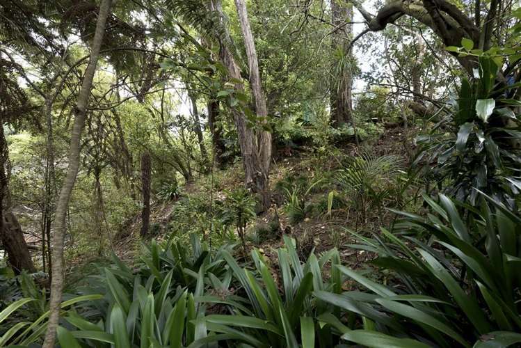 2/42 Rata Street New Lynn_18