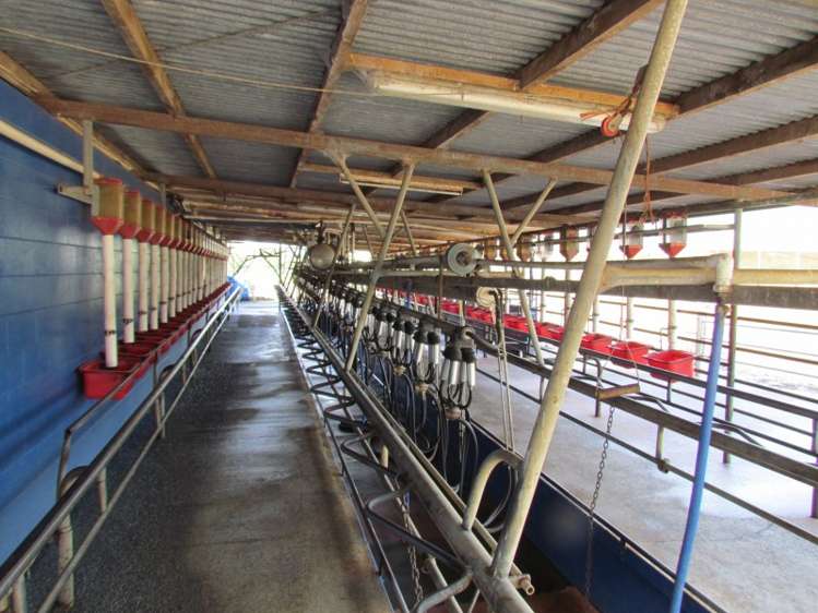 353 Wilson Road Pakotai_15