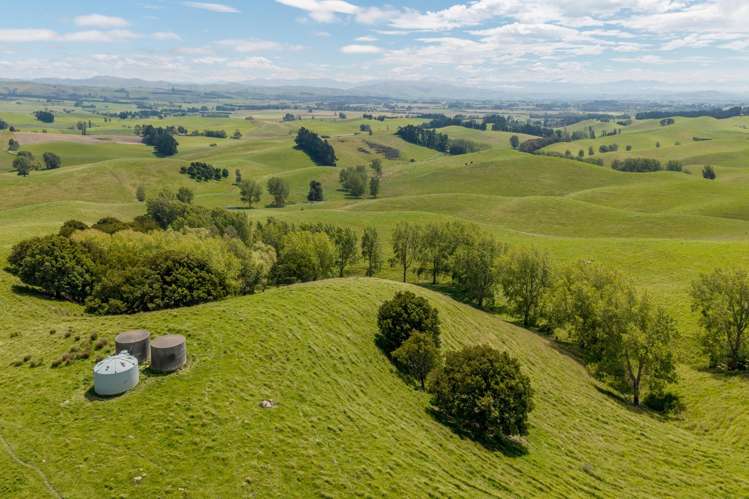 299 Domett Road Domett_7