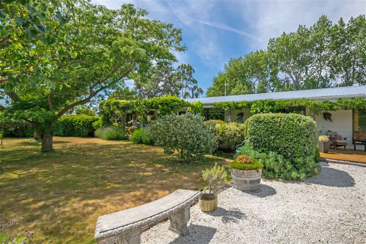 216 Neal Road Spring Creek_25