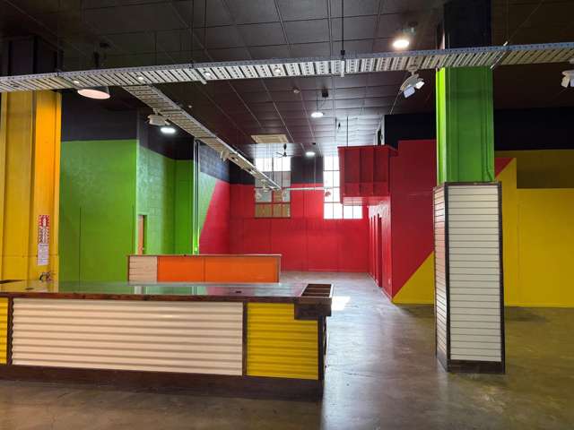 105 Dickens Street Napier Cbd_2