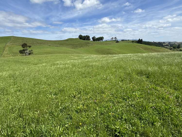 829 Honikiwi Road Otorohanga_11