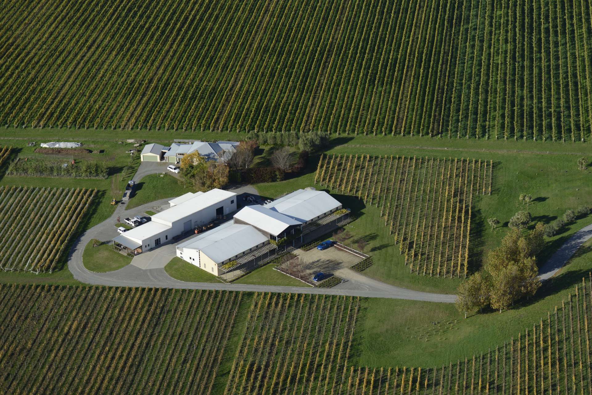 15 Godfrey Road Fairhall_0