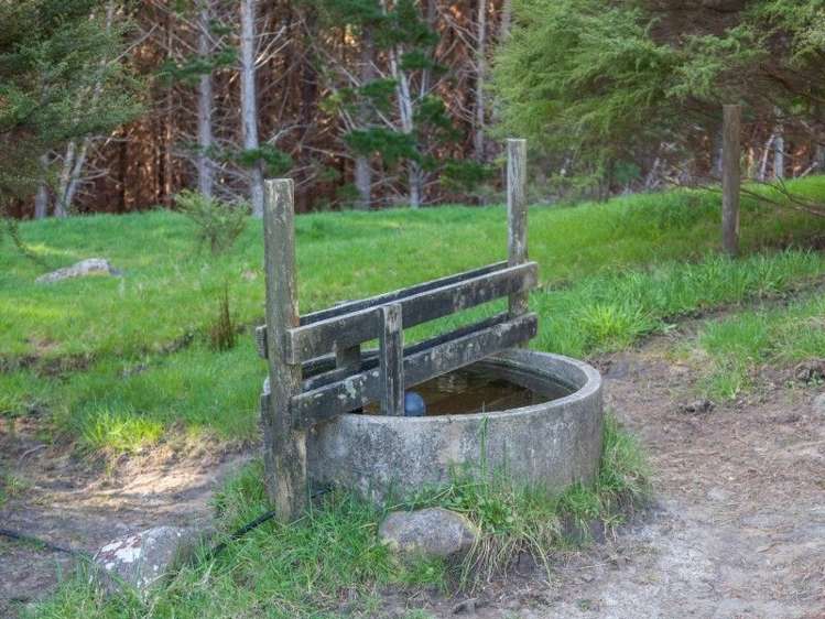 425l Boat Harbour Road Whenuakite_12