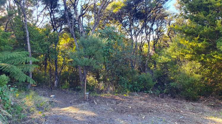 457 Tuateawa Road Tuateawa_10