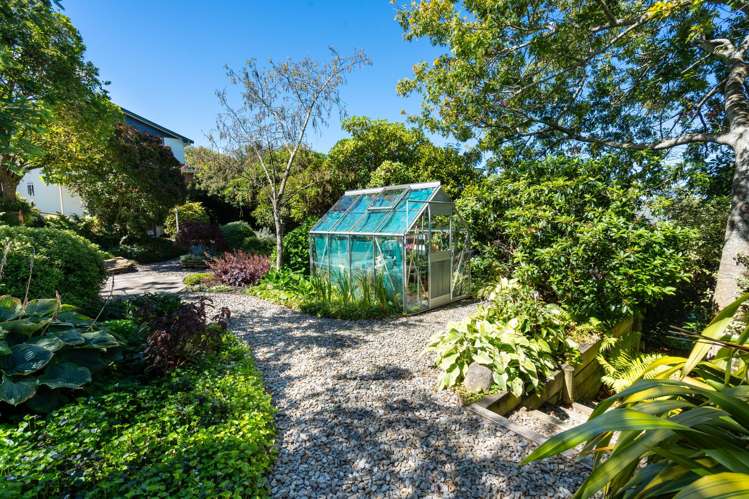 117 Lynn Street Wakari_23