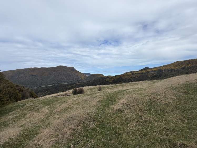 490 Long Bay Road Akaroa_34