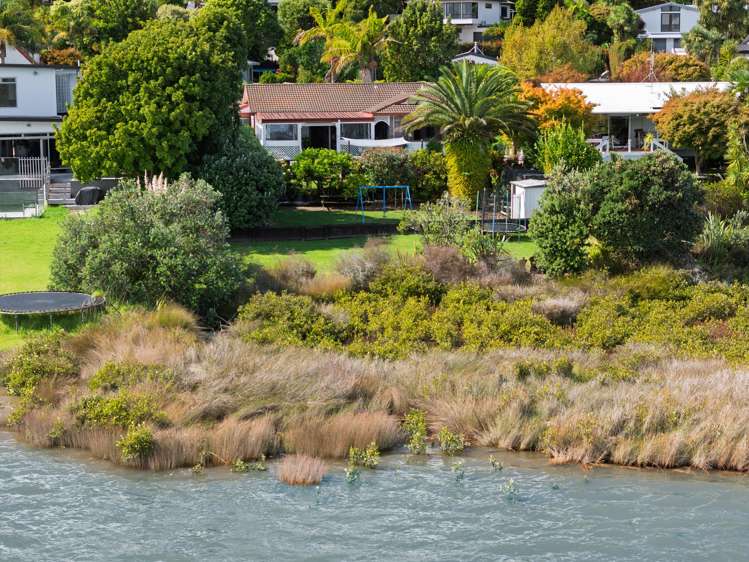 135 Haukore Street Hairini_3