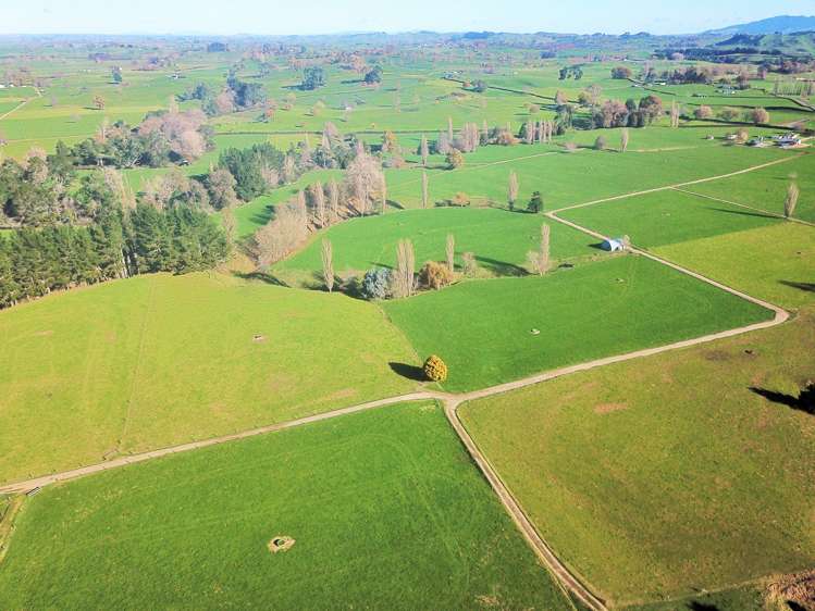 240 Bayly Road South Waikato_19