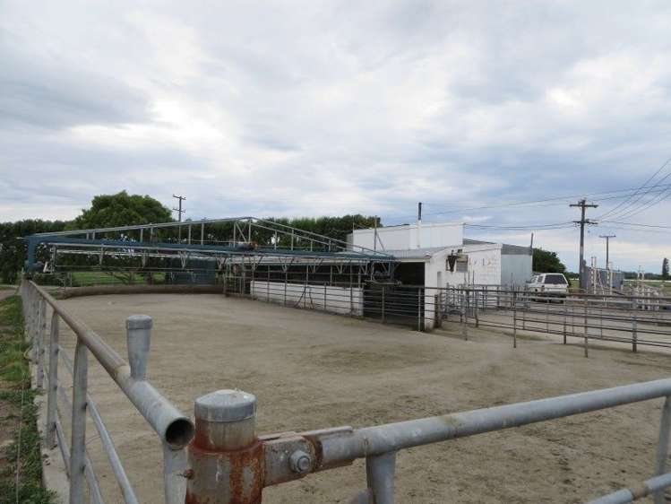 141 Drain Road Leeston_5