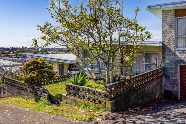 55b Stafford Street Waitara_2