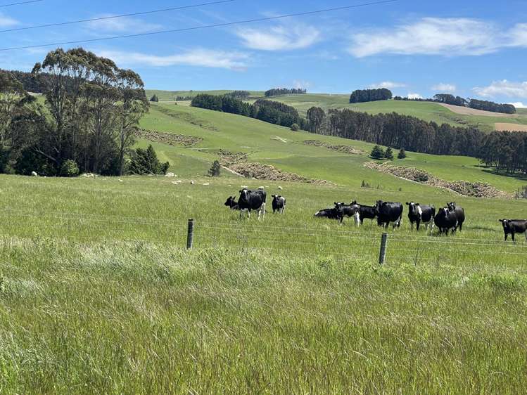 220 Mackay Road Tapanui_20