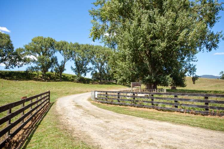 536 Morgan Road Richmond Downs_34