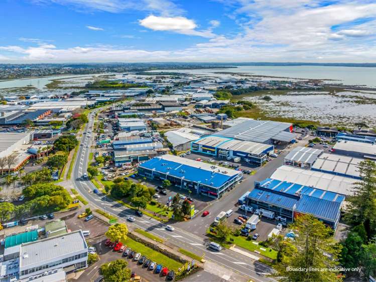 523 Rosebank Road Avondale_16