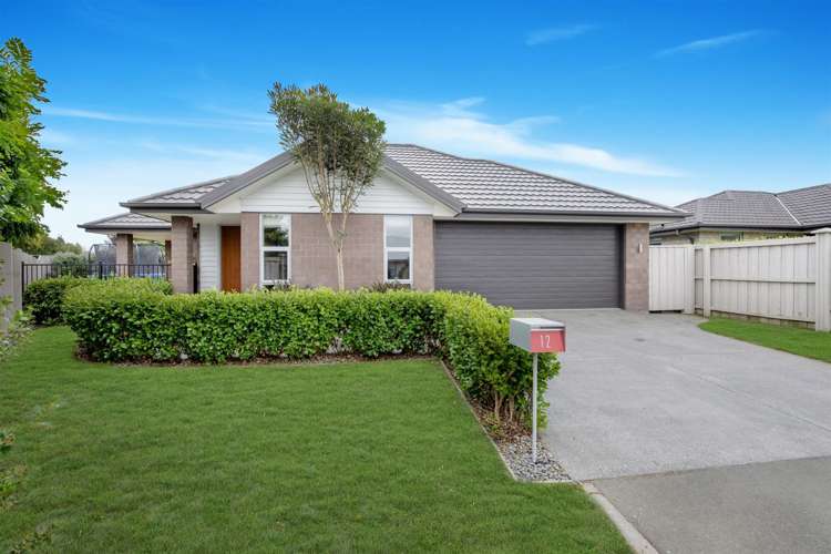 12 Brittan Drive Rolleston_15