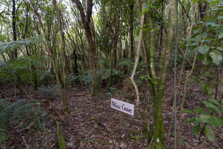 1863 Takaka-Collingwood Highway Collingwood_32