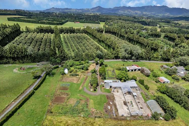 410A Whatitiri Road Poroti_22