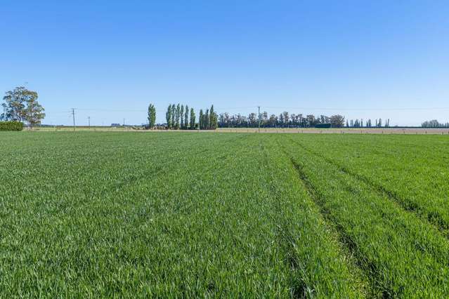 32 Ashton Road Ashburton_2