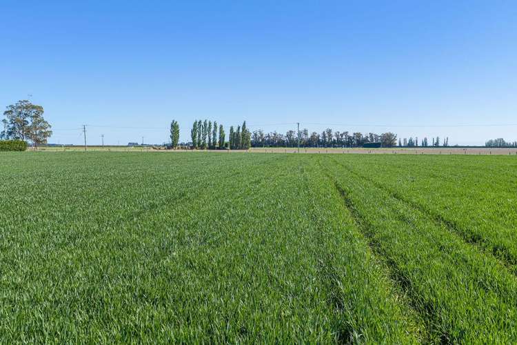 32 Ashton Road Ashburton_2