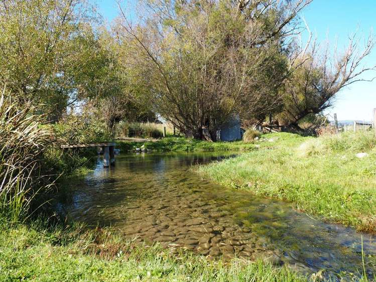 321 Clayton Road Fairlie_10