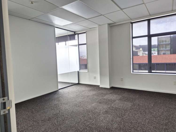 15 Walter Street Te Aro_6