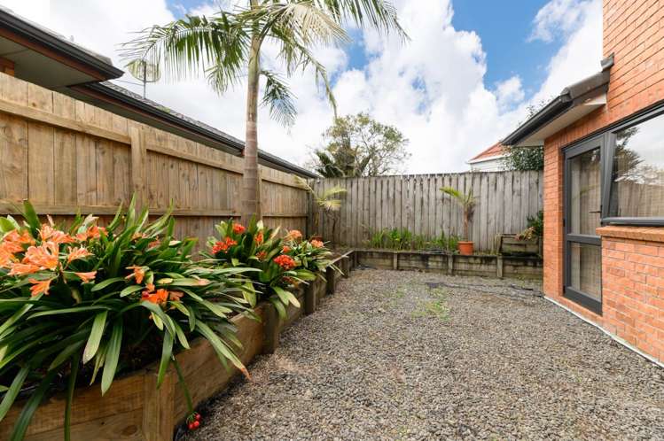 19a Esmeralda Avenue Avondale_5