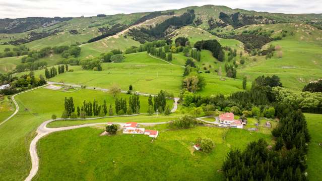 2266 Kahuranaki Road Elsthorpe_4