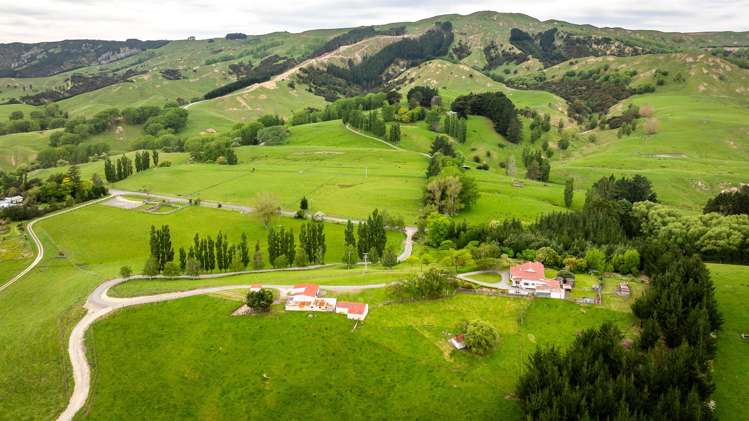 2266 Kahuranaki Road Elsthorpe_3